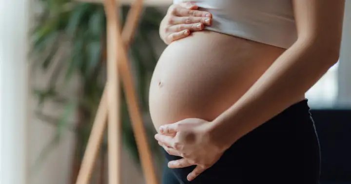 Texas surrogacy, abortion dispute leads to birth of baby with heart defect – National
