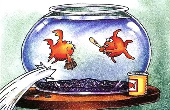 7 Greatest ‘Far Side’ Comics With No Words