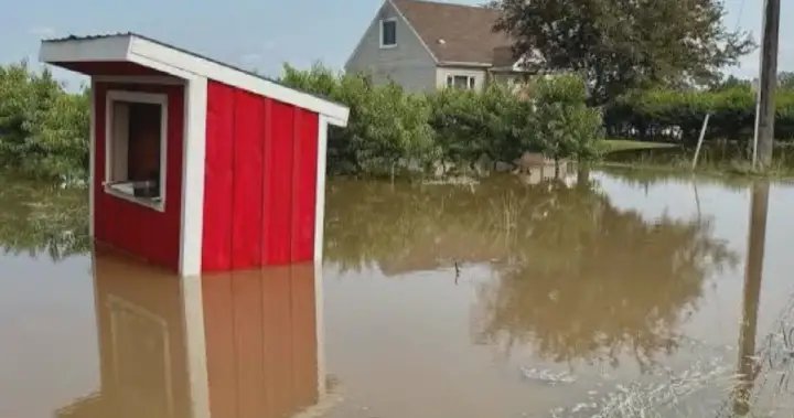 Ontario city declares state of emergency after ‘hurricane’s worth of rain’