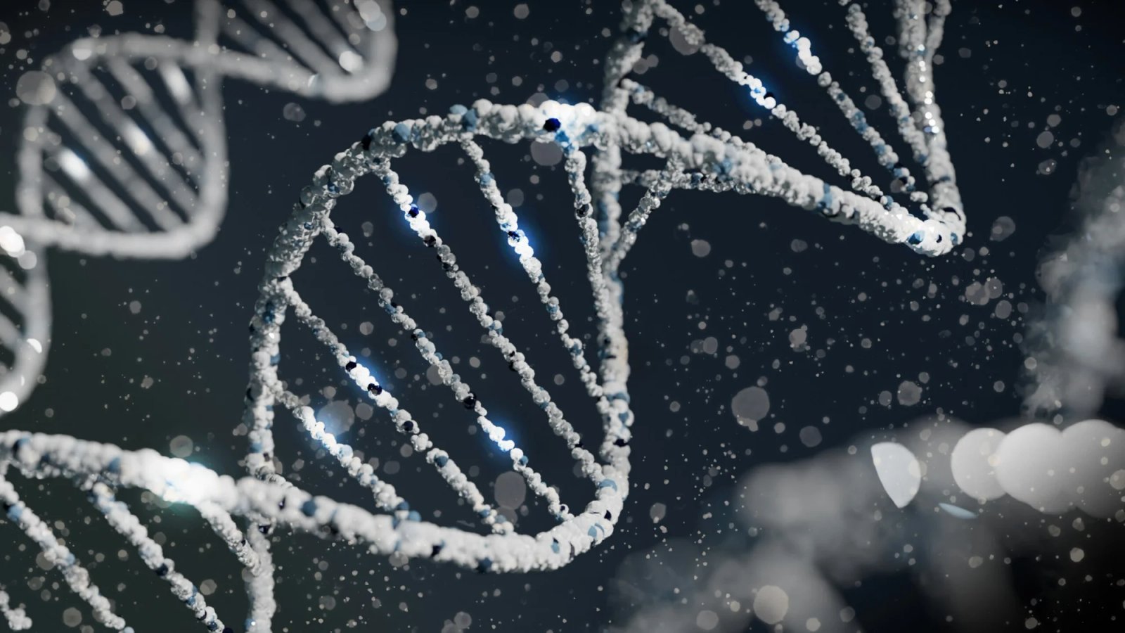 Million-Person Study Finds a Rare Gene Variant That Slashes the Risk of Diabetes and Heart Disease