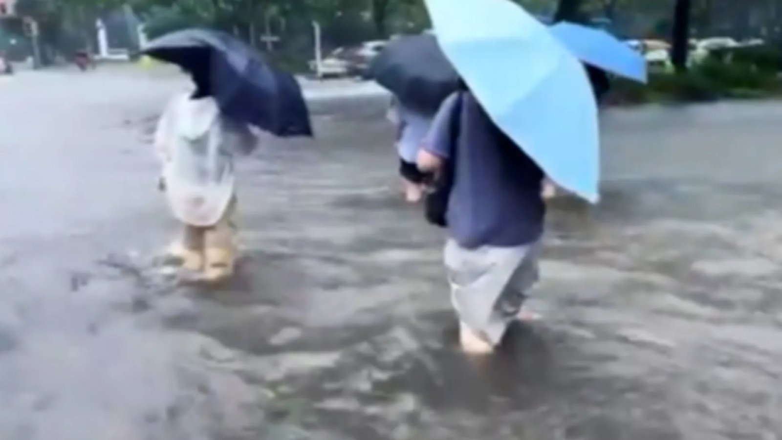 China evacuates a million from homes as Typhoon Dolphin arrives | Weather
