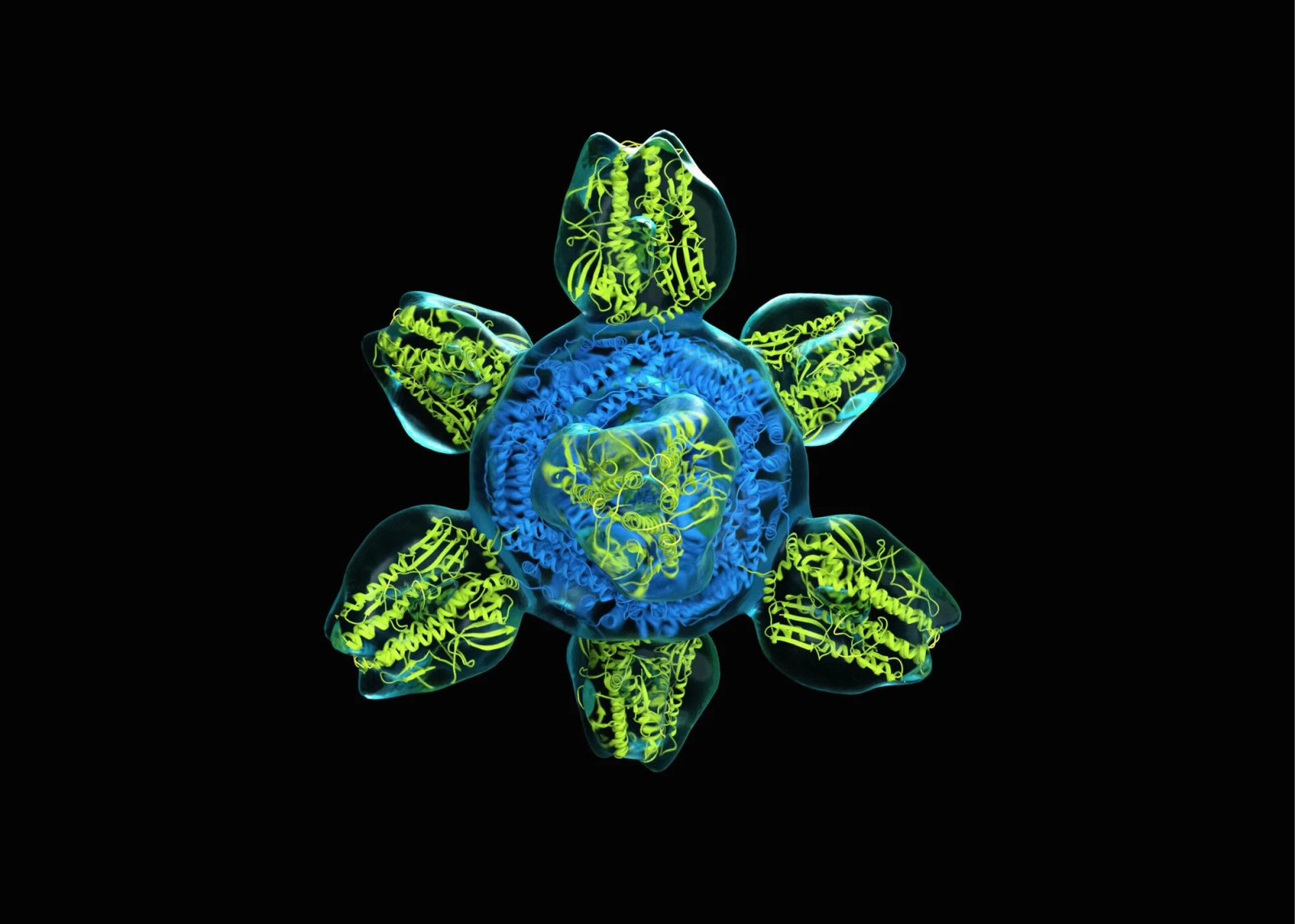 Biology Needs an AI Declaration