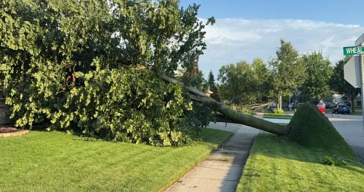 2 tornadoes touch down in southwestern Ontario as storms blow through region