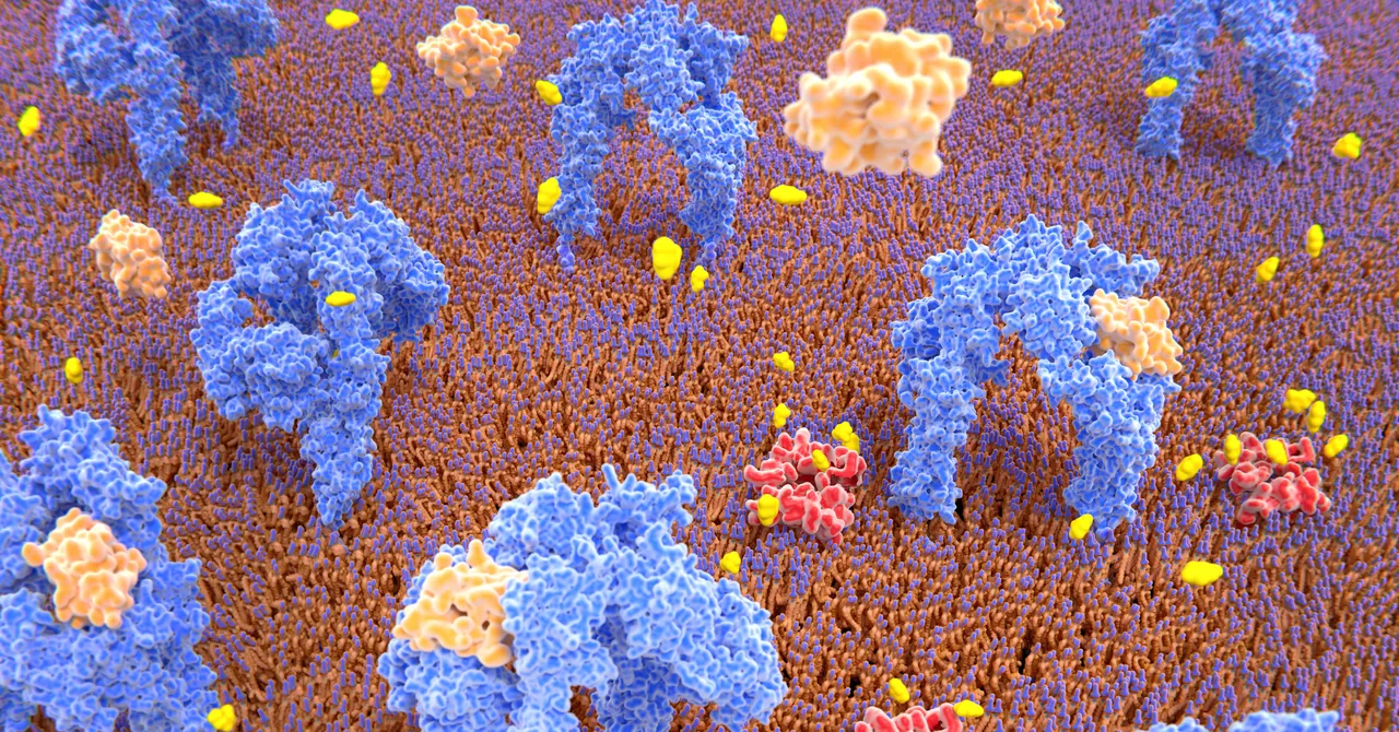Some Pancreatic Cells Are Just One Genetic Tweak Away From Treating Diabetes