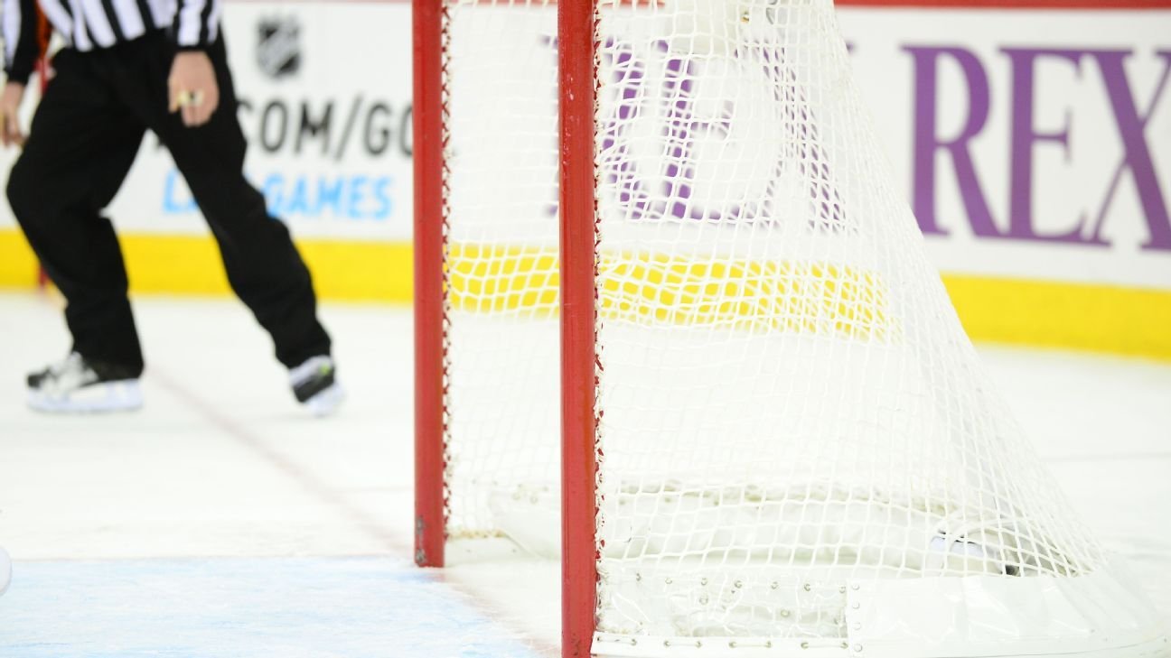 OHL’s Steelheads net 17 picks for top prospect Tanner Adams
