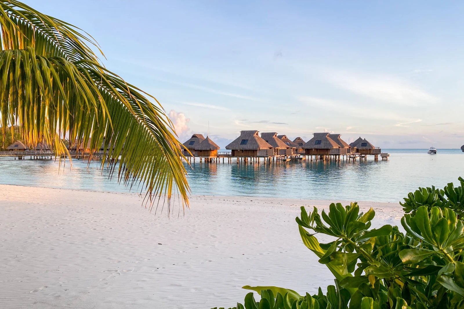 Hilton Honors American Express Card review: Solid perks for beginner travelers