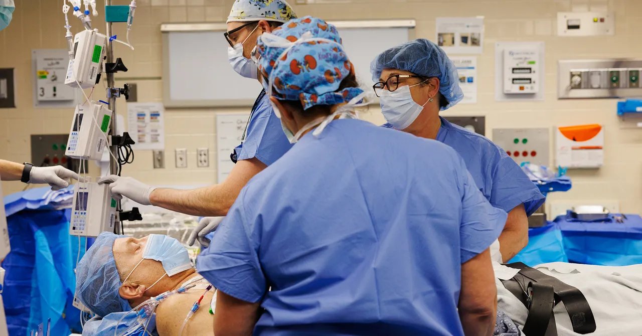 Transplanted Pig Kidney Still Working After a Record-Setting 9 Months in a Patient