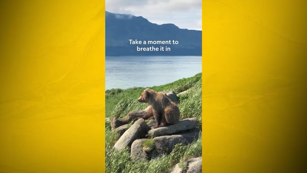WATCH:  Nat Geo's 'Moment on the Earth' captures bears in Alaska’s Katmai National Park