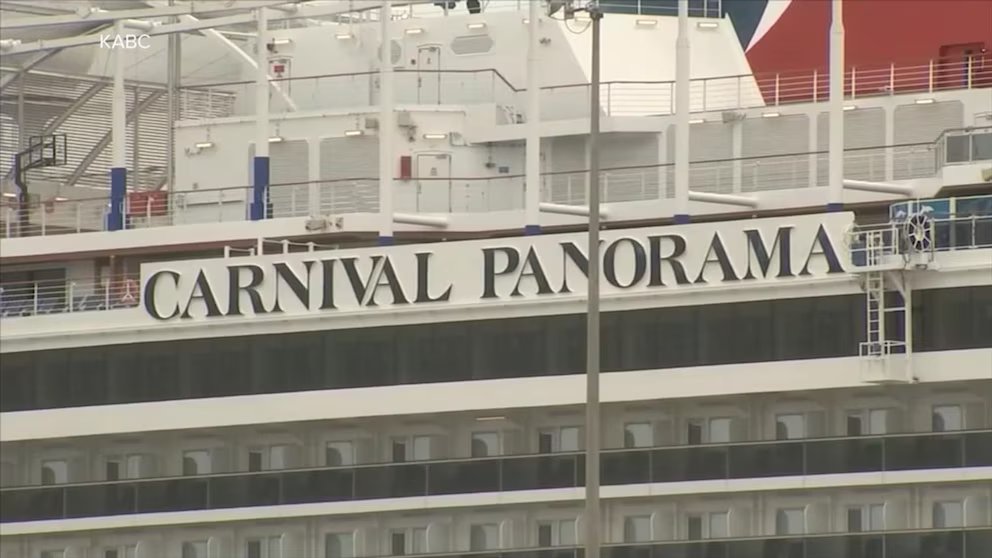 WATCH: Cruise ship passenger missing after reportedly going overboard