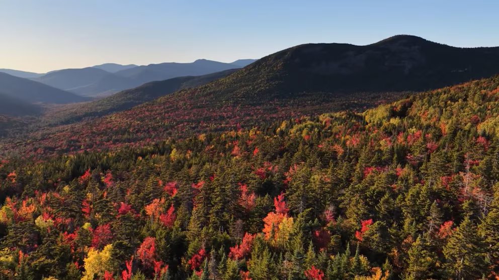 WATCH:  Fall foliage fever grows in Northeast