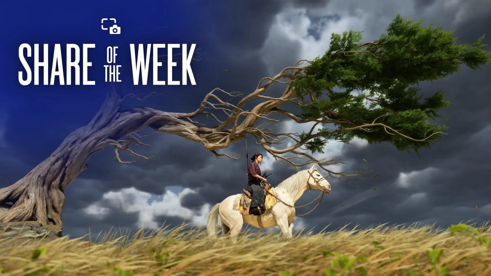 Share of the Week: Trees – PlayStation.Blog