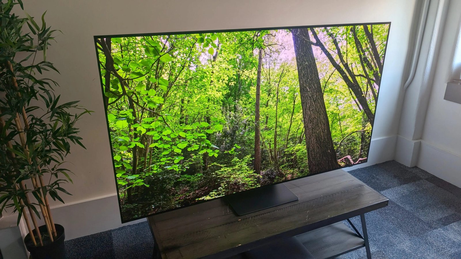 Best TVs of 2026: Expert Tested, Compared and Reviewed