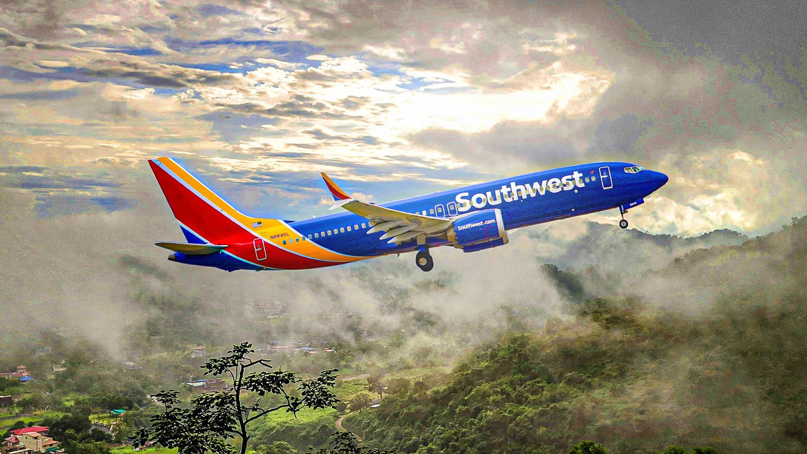 Southwest Passengers Forced To Step Over ‘Enormous’ Service Dog Mess To Deplane
