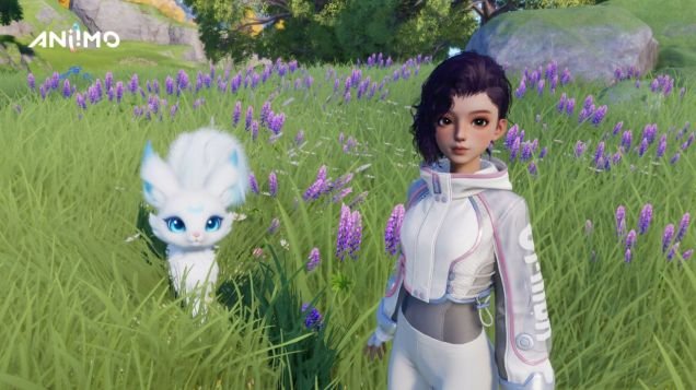 Aniimo – How To Get And Use Radiant Dreamshadow