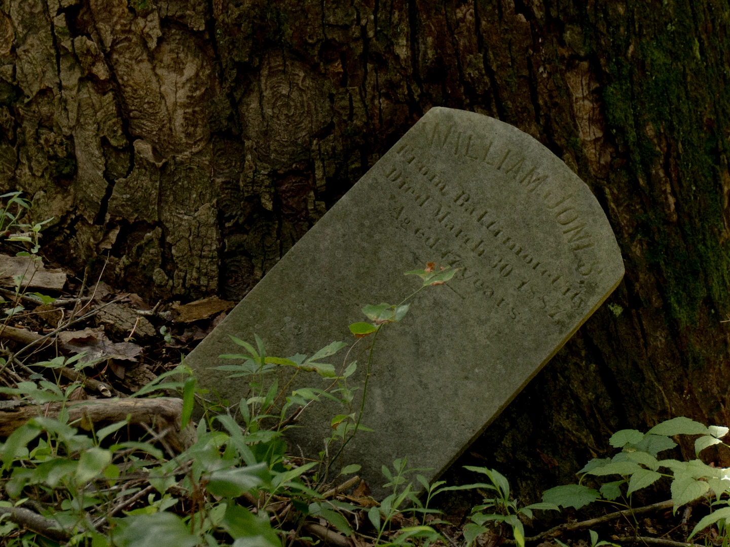 At least 1,000 boys and girls who died in state custody are buried in graves across U.S.