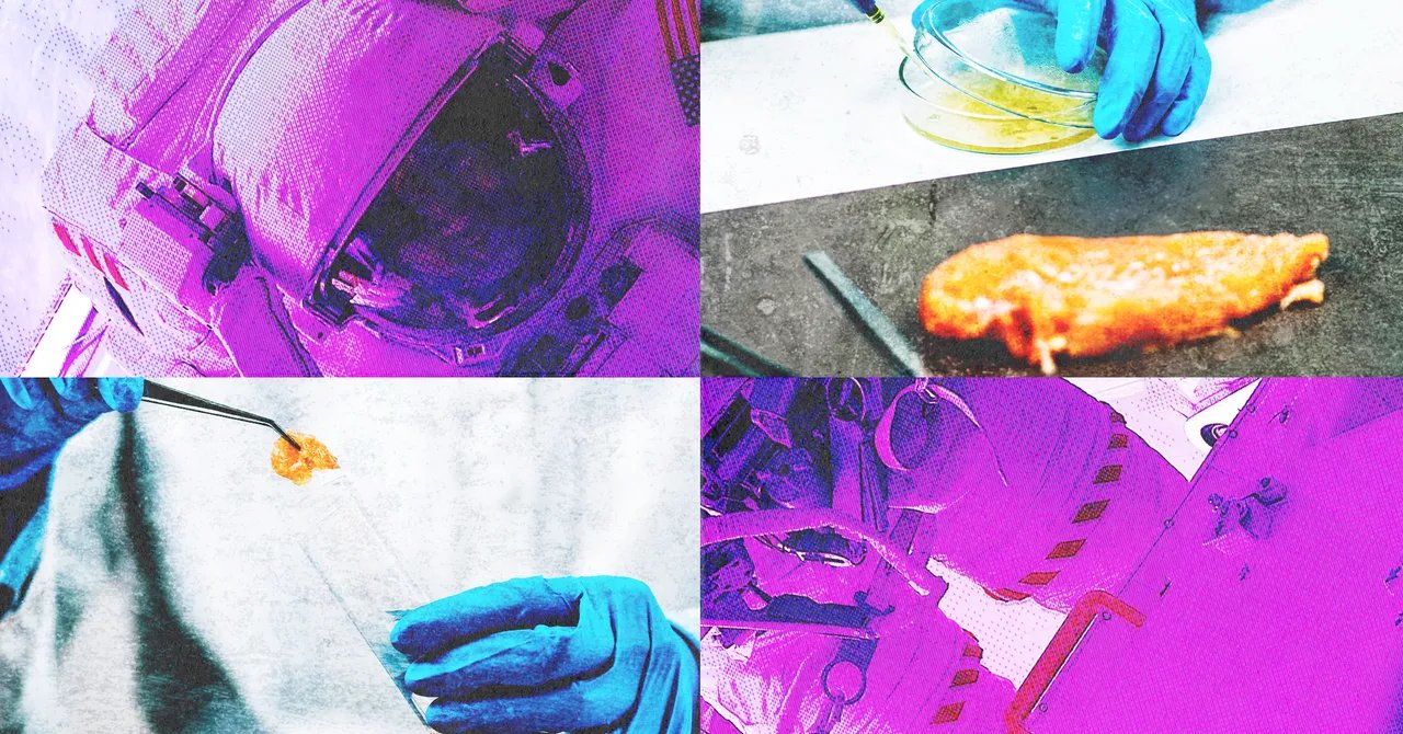 How NASA Testing Changed US Food Inspection Forever