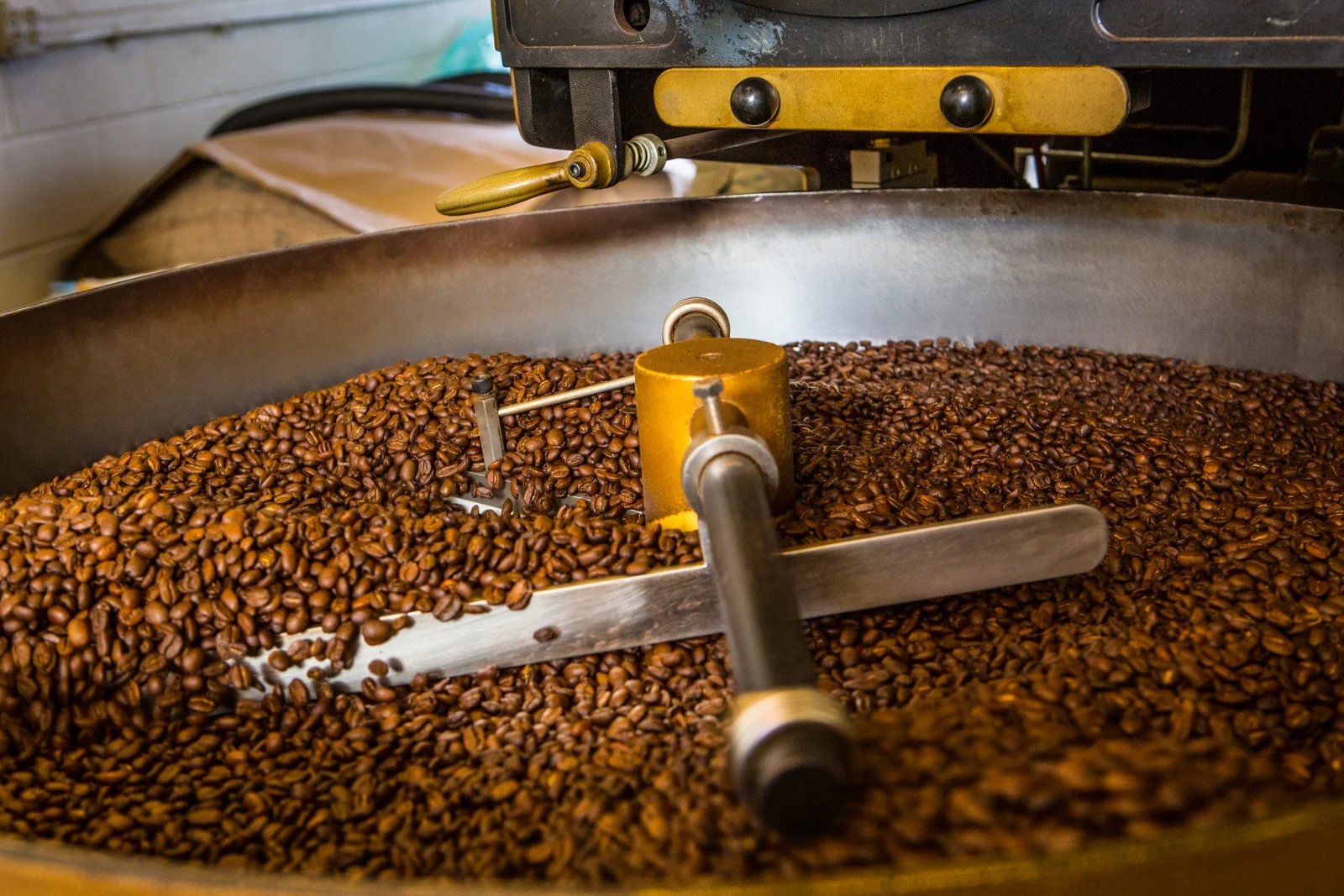 Best coffee loyalty program: Starbucks, Dunkin’ or Dutch Bros?