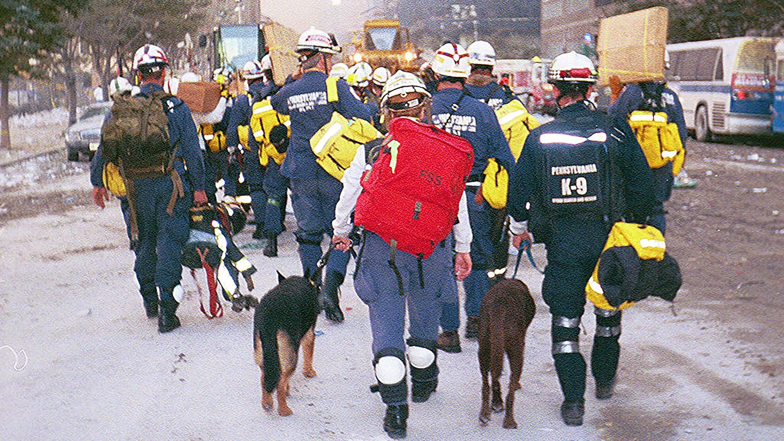 Remembering the search-and-rescue dogs of 9/11