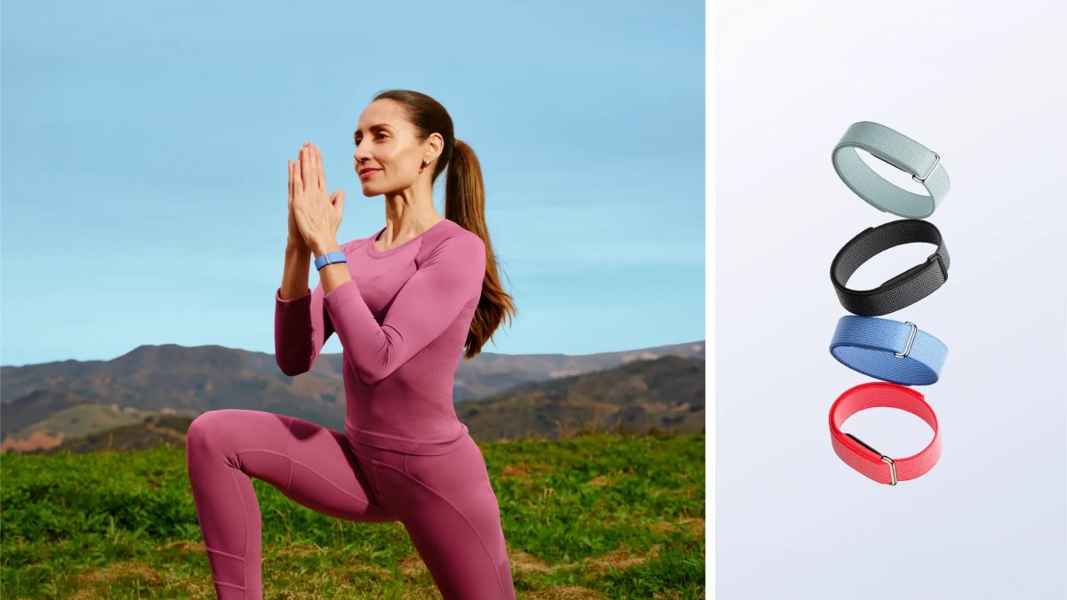 Google launches Fitbit Air in India, though its high price might deter the masses