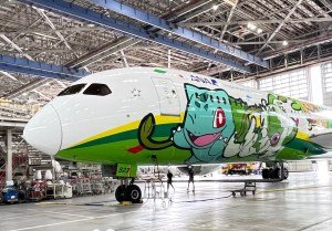 New Pokemon Plane Looks Incredible, Even Includes Themed Cups And Napkins