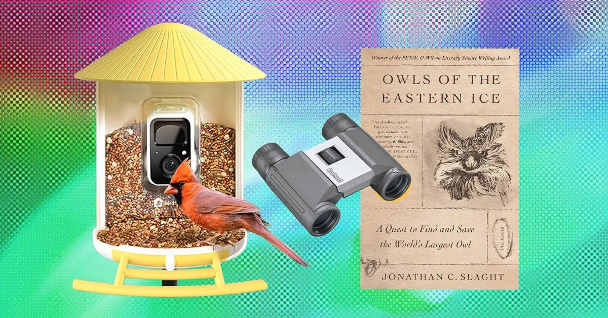 An Editor’s Picks: The Best Gifts for Bird Lovers