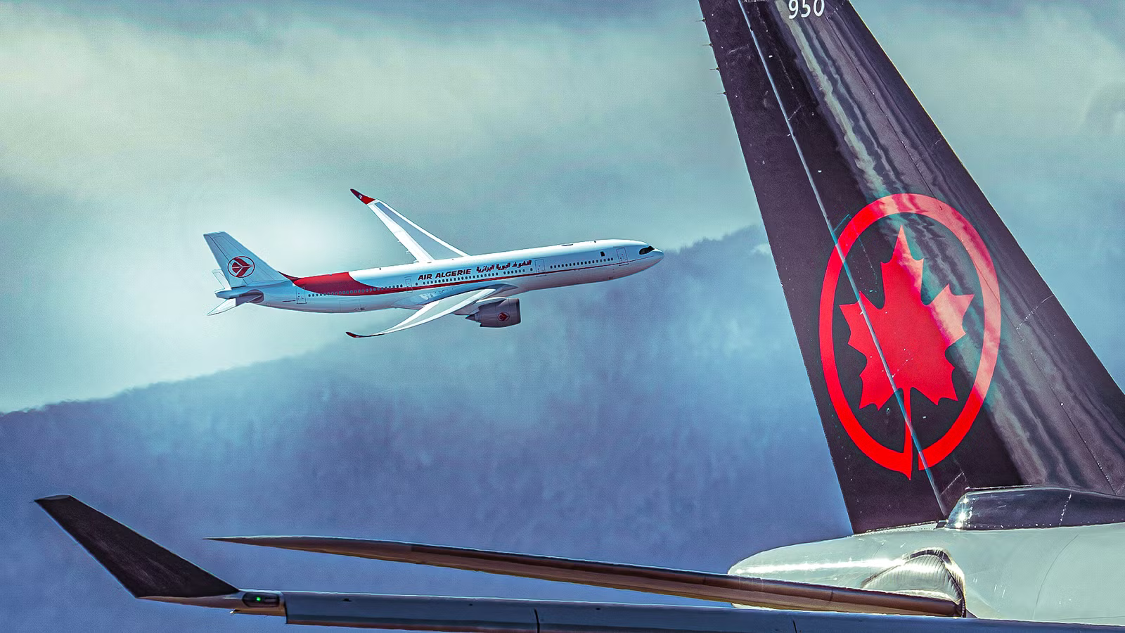 Air Canada Just Ceded Its Only Route To Algeria As Air Algérie Doubles Down With Airbus A330neos