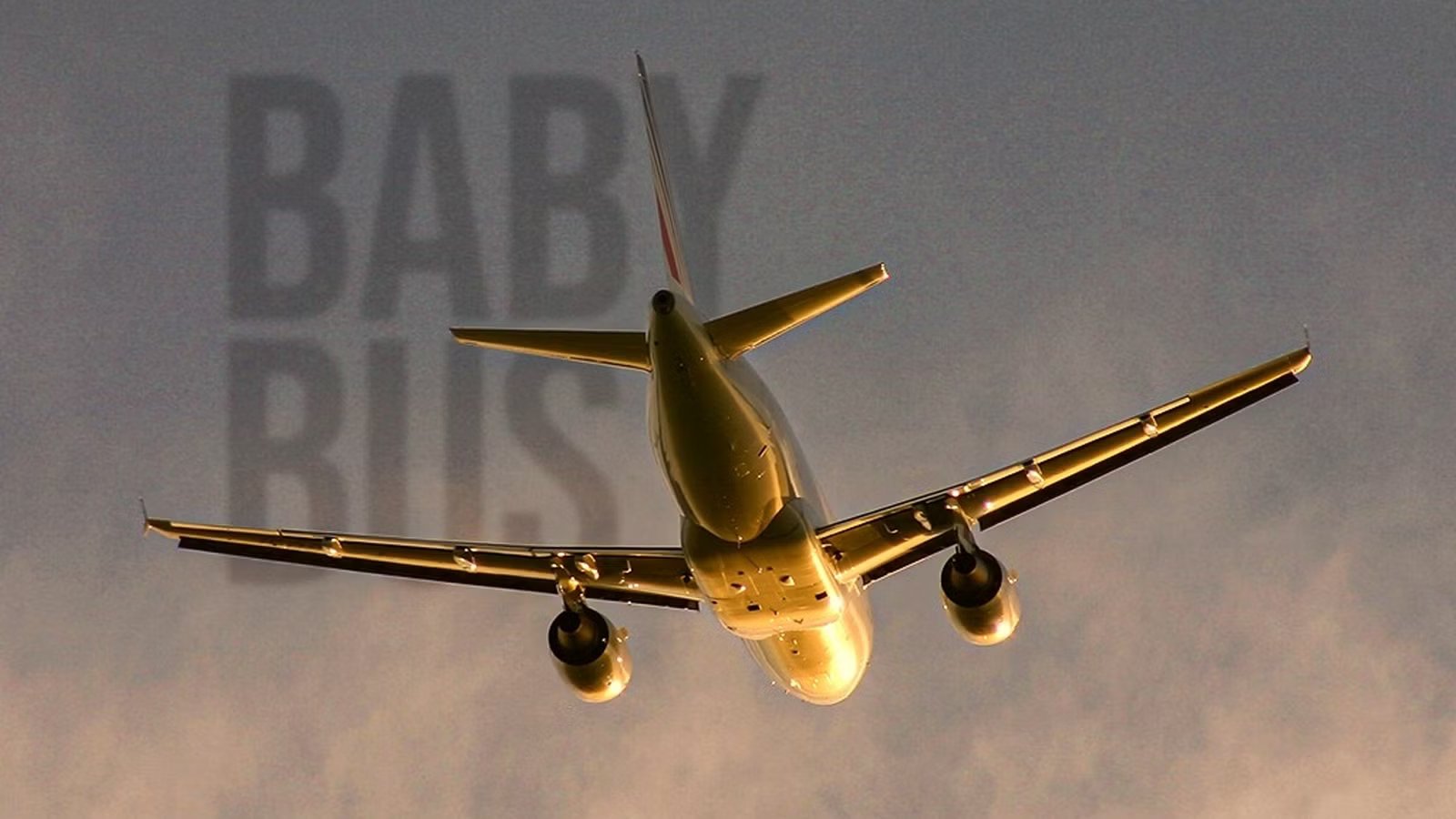 Airbus Built A Plane No Airline Wanted: Now Enthusiasts Are Racing To Fly It