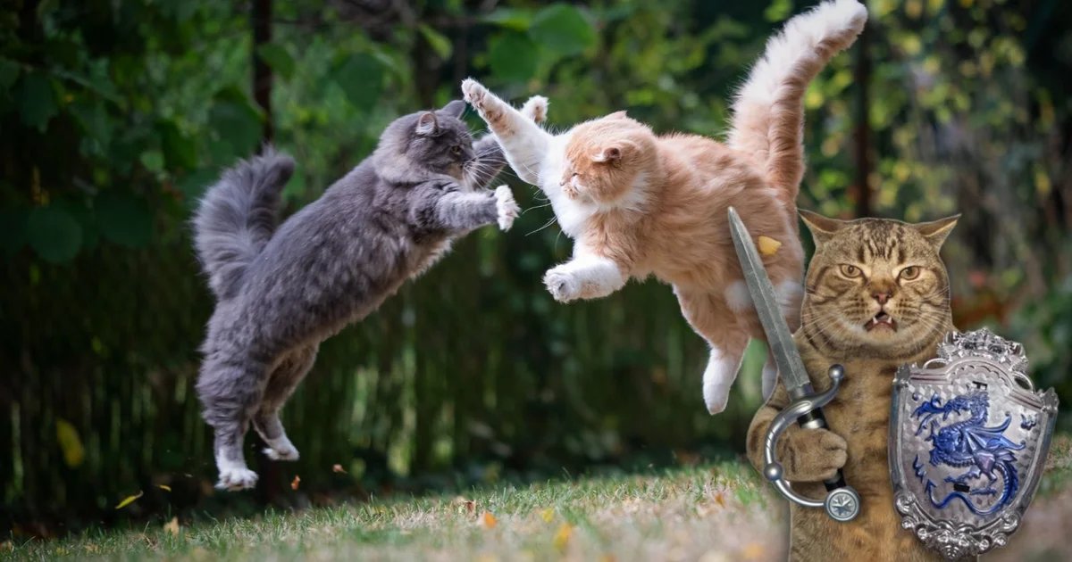 What we’ve been playing – “I curl up on my sofa and breed my army of battle cats”