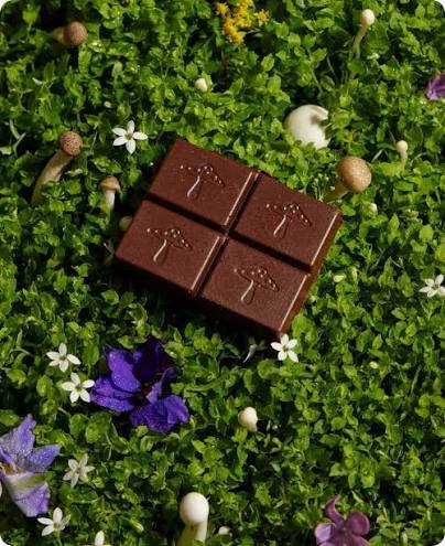 7 Mushroom Gummies For Focus And Energy