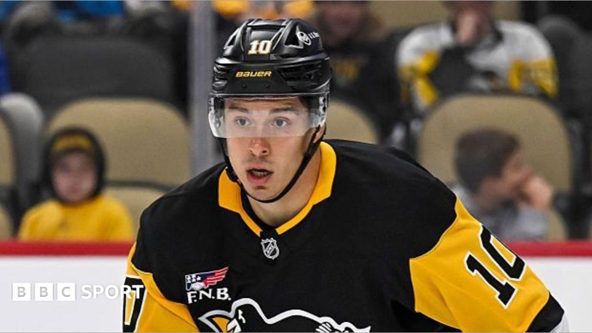 NHL: Pittsburgh Penguins forward Andrei Kuzmenko’s father killed by bear