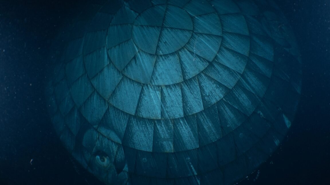 It turns out that Orion’s much-maligned heat shield performed really well