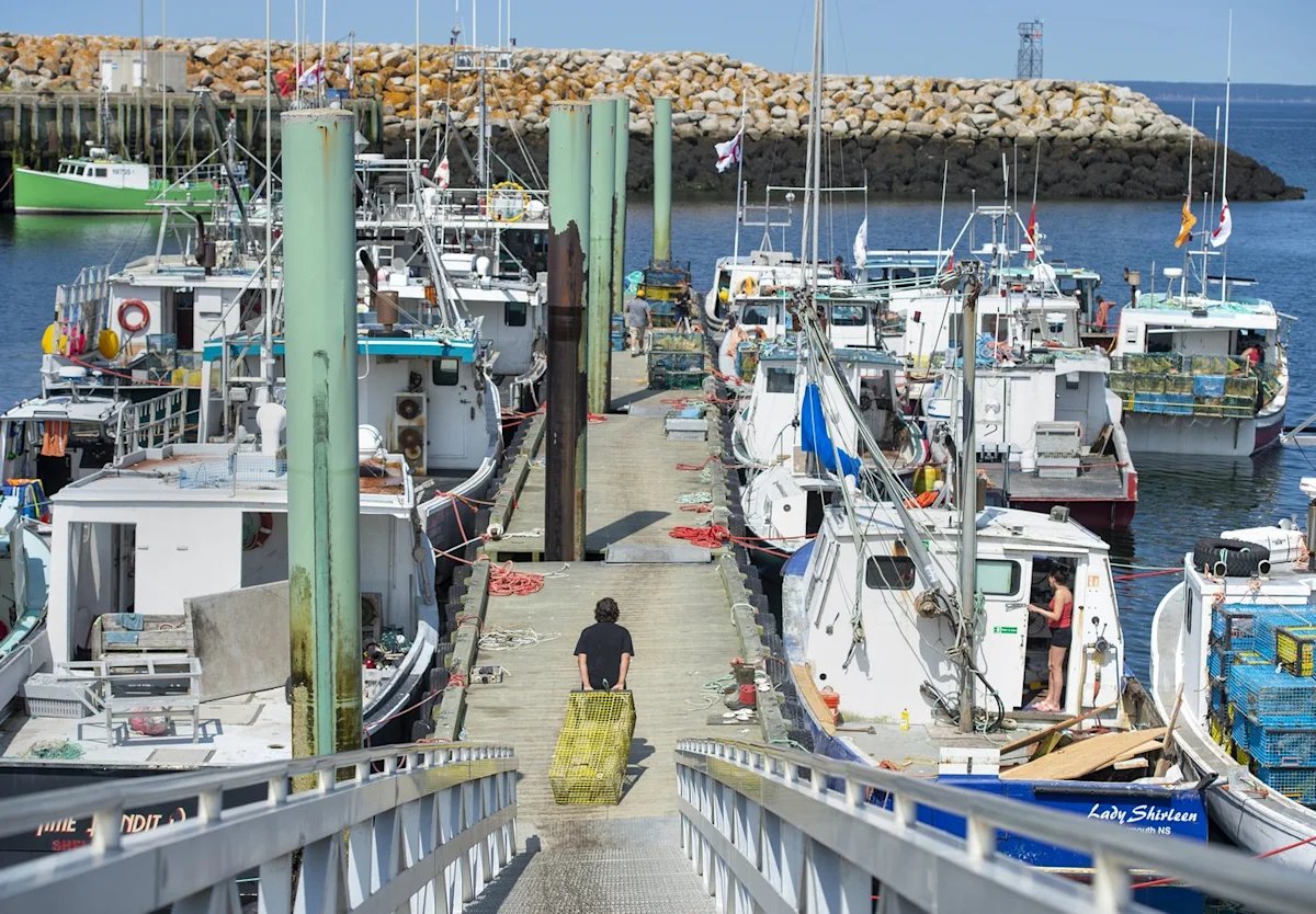 N.S. seafood processor wants accuser to name names in $10-million lobster lawsuit