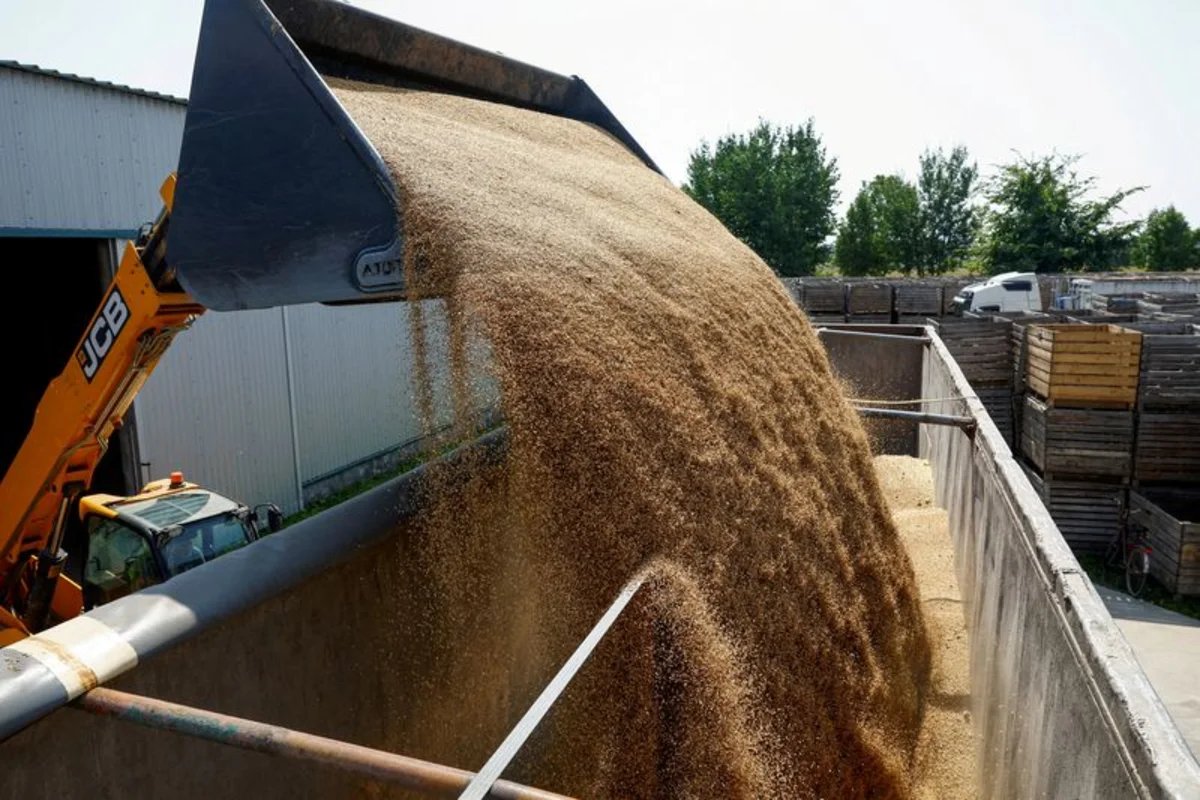 Analysis-Wheat buyers brace for higher costs as Russia-Ukraine war drags on