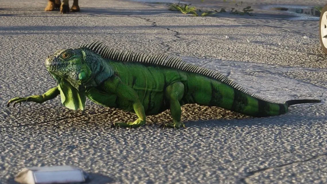 Every Animal in GTA 6 Confirmed So Far
