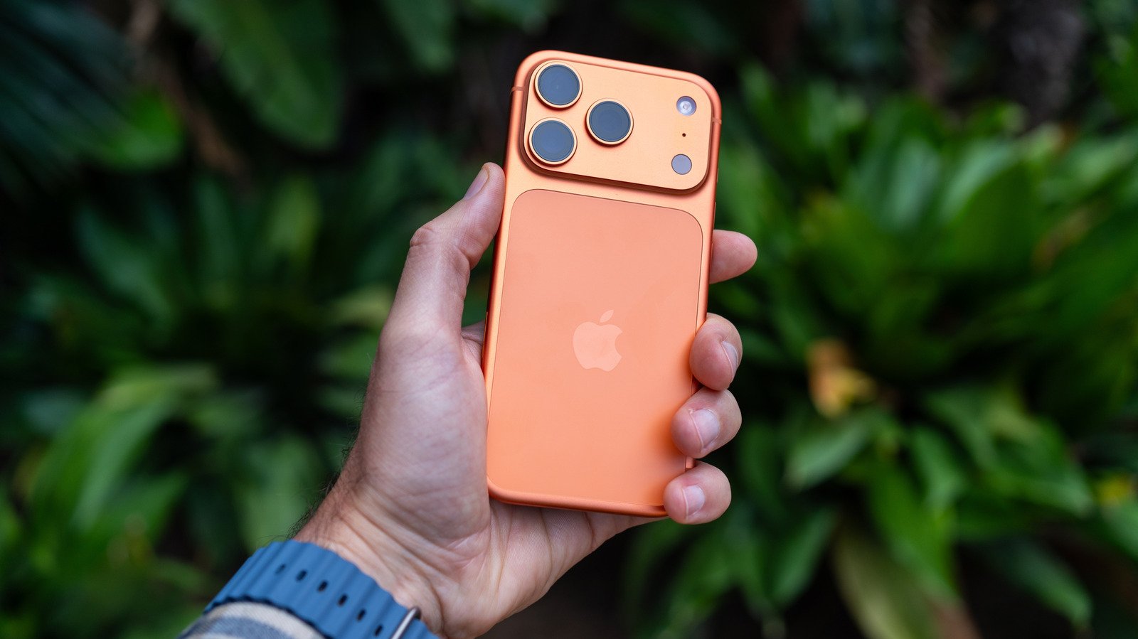 How To Use The Live Text Feature On Your iPhone