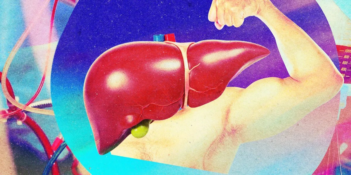Donated livers can be made biologically younger
