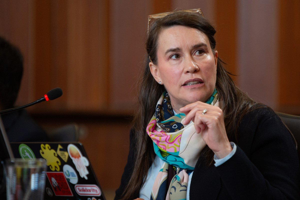 OneCity councillor pushes Sim for meeting on U.S. tariffs