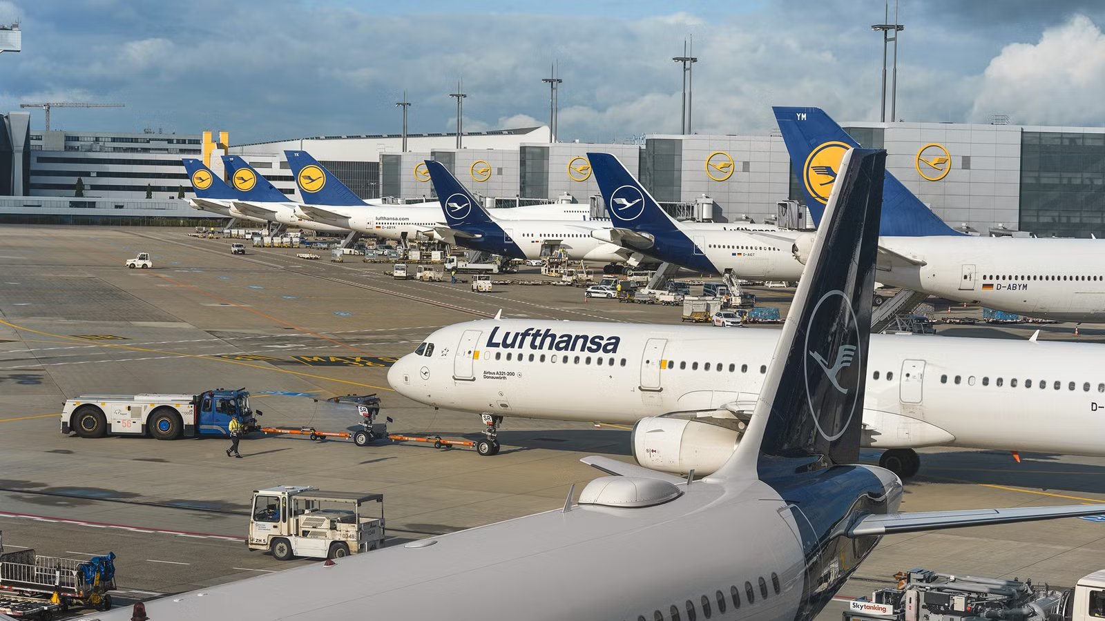 Authorities Investigating 3 Deaths Linked To Rare Malaria Outbreak At Frankfurt Airport