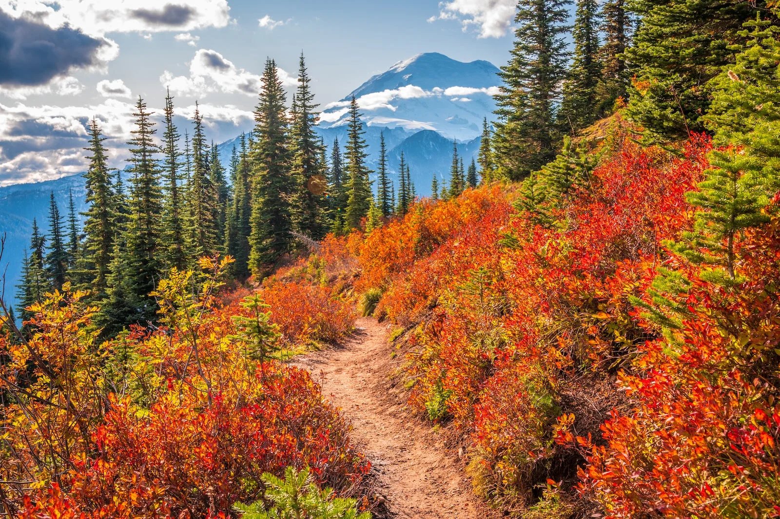 Here’s where you can see fall foliage across the US in 2026