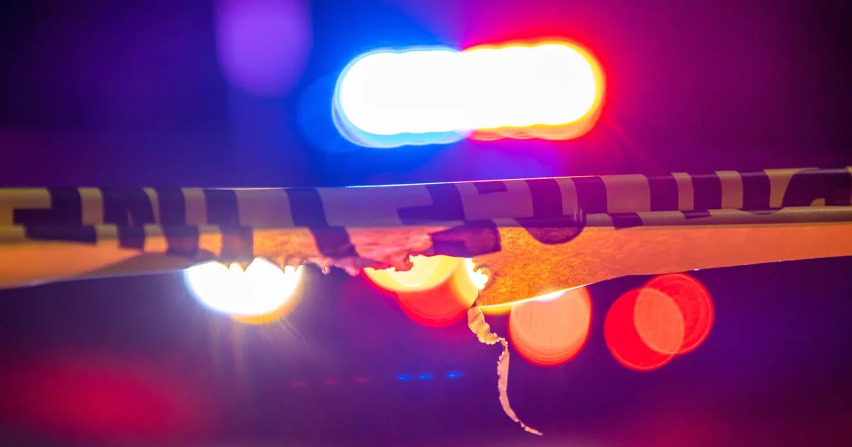 Georgia park mass shooting wounds 11 teens at birthday party