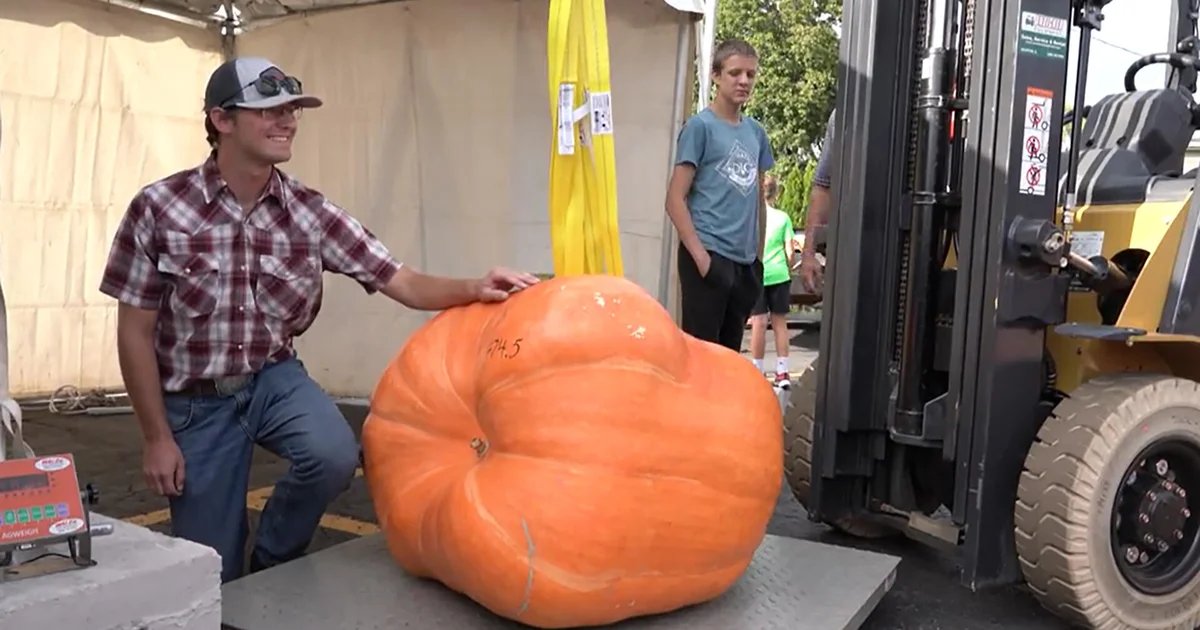 Good gourd! A visit to the pumpkin capital of the world