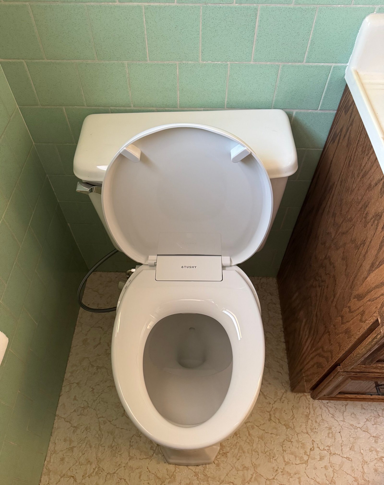 Can A TUSHY Bidet Make A 1952 Toilet Feel New? (Review)