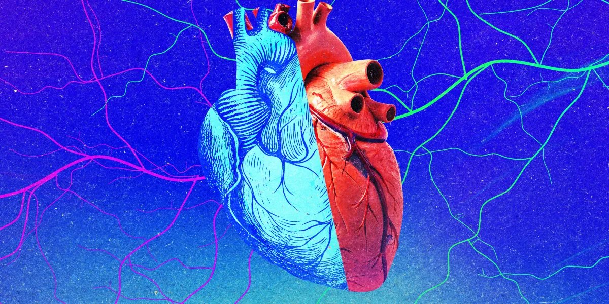 Young organs may not be a fountain of youth for recipients