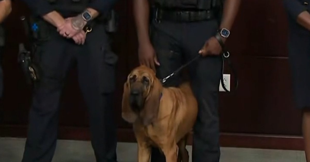 See the moment a police dog found a missing boy in the Maryland woods