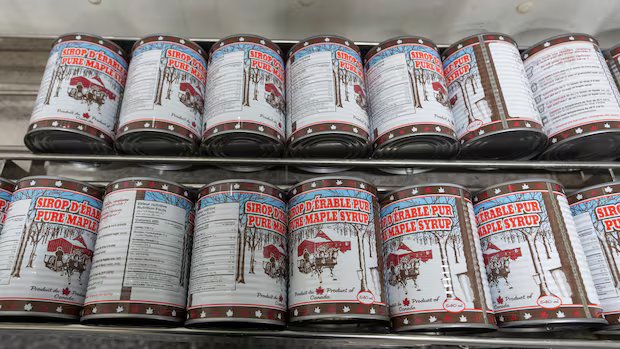 Quebec’s reserves of maple syrup almost depleted, says new report
