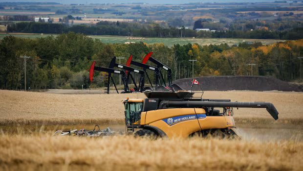 Judge dismisses farmers’ class action over end to Canadian Wheat Board monopoly more than a decade ago