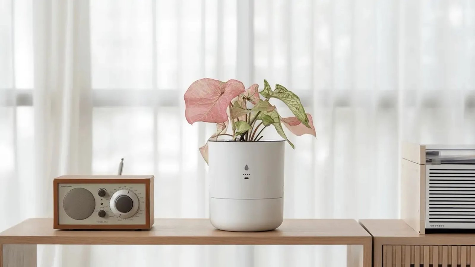 We’re Very Frond of These 15 Tech Gifts for Plant Lovers