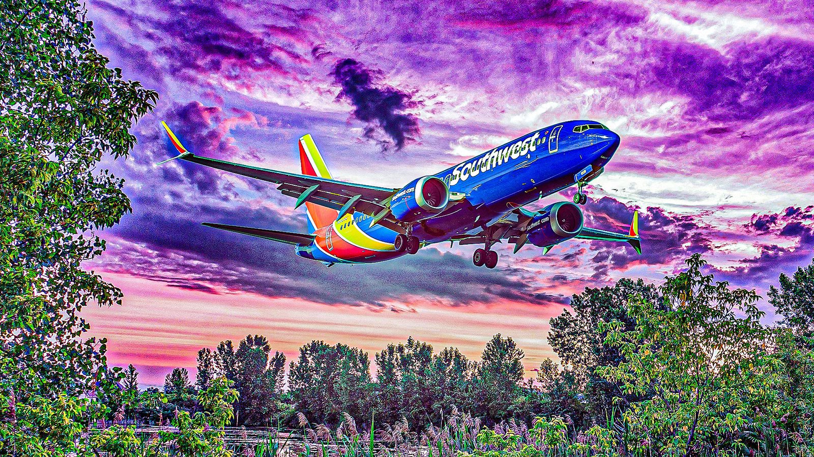 Southwest Airlines Launches 11 New International Nonstop Routes: See Full List Now