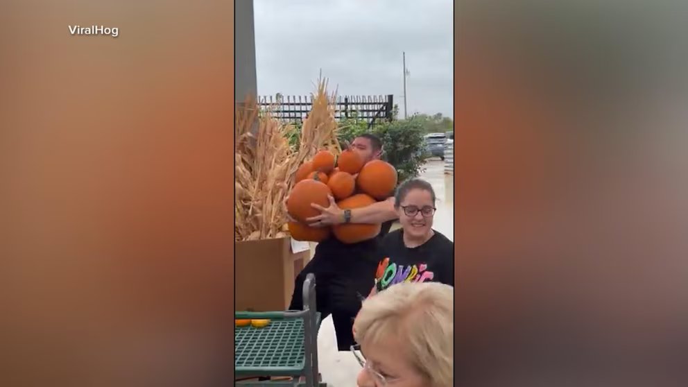 WATCH:  All-you-can-carry pumpkin deal