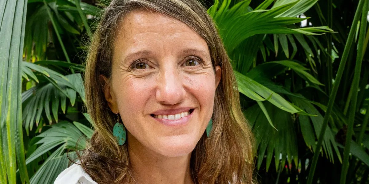 The ecologist revealing the invisible networks that revive rainforests